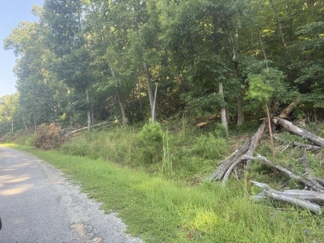 TRACTS 7-9 CARROLL HOLLOW RD Property Photo 1