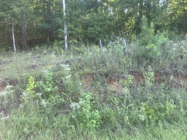 Tracts 7-9 Carroll Hollow Rd Property Photo 3