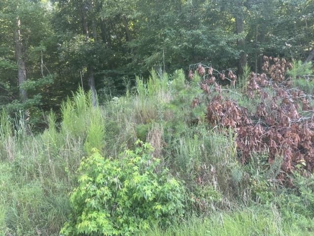 Tracts 7-9 Carroll Hollow Rd Property Photo 6