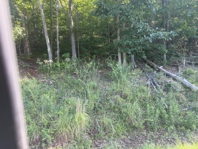 Tracts 7-9 Carroll Hollow Rd Property Photo 7