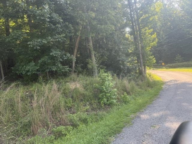 Tracts 7-9 Carroll Hollow Rd Property Photo 9