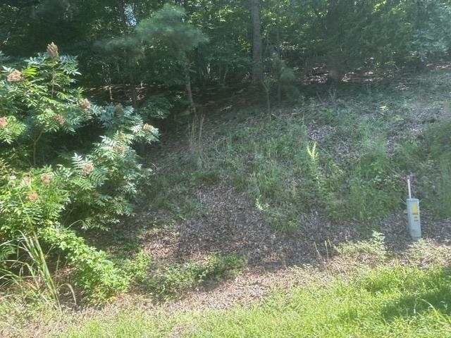 Tracts 7-9 Carroll Hollow Rd Property Photo 10