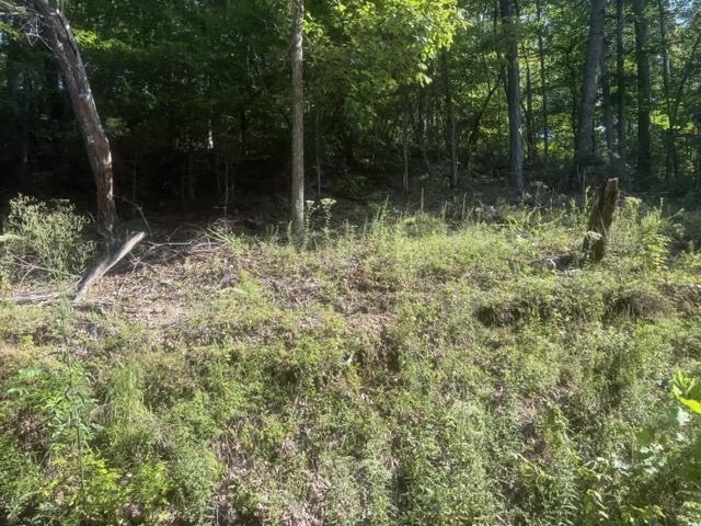 Tracts 7-9 Carroll Hollow Rd Property Photo 11