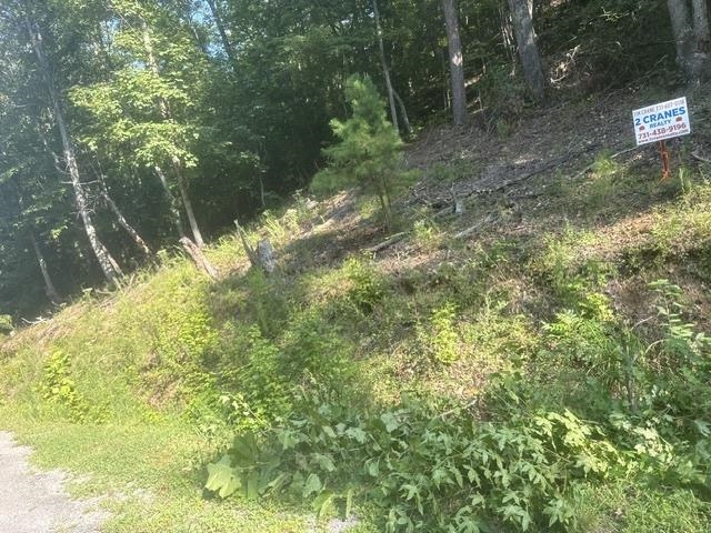 Tracts 7-9 Carroll Hollow Rd Property Photo 12