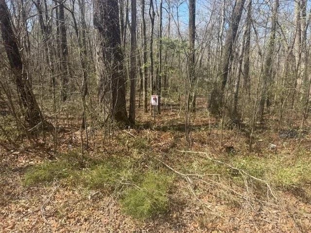 Tract 9 22a Hwy Property Photo 1