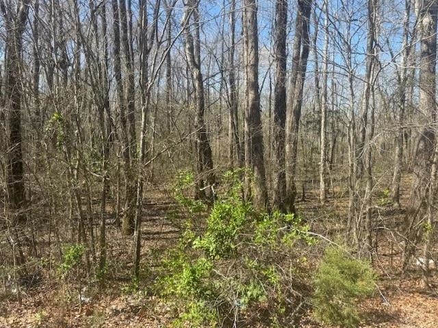 Tract 9 22a Hwy Property Photo 3