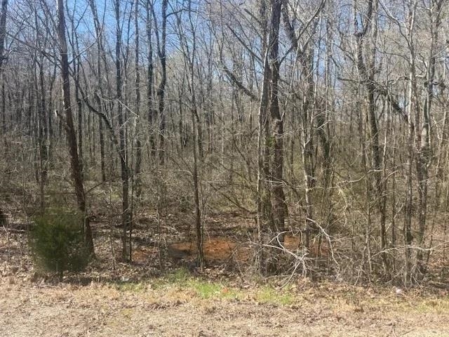 Tract 9 22a Hwy Property Photo 4