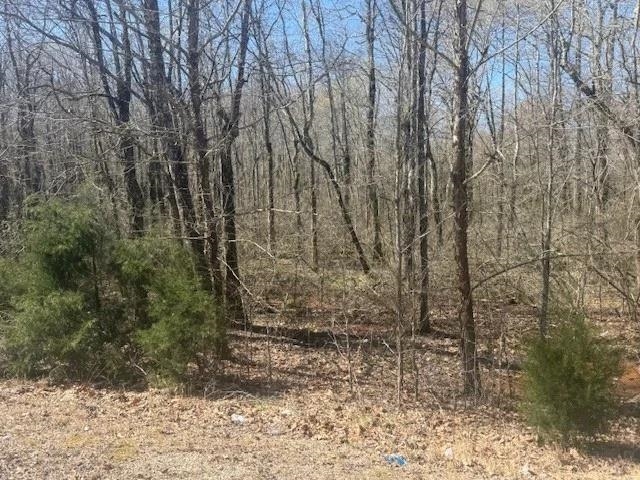 Tract 9 22a Hwy Property Photo 8