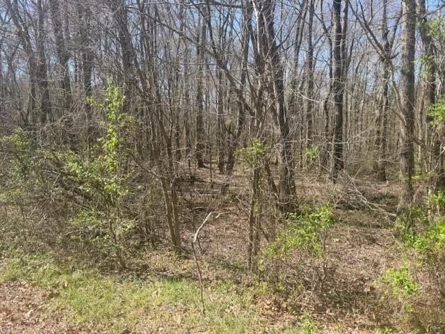 Tract 9 22a Hwy Property Photo 9