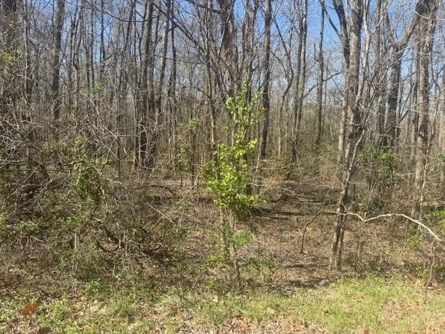 Tract 9 22a Hwy Property Photo 10