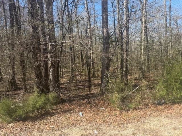 Tract 9 22a Hwy Property Photo 11