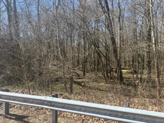 Tract 9 22a Hwy Property Photo 12