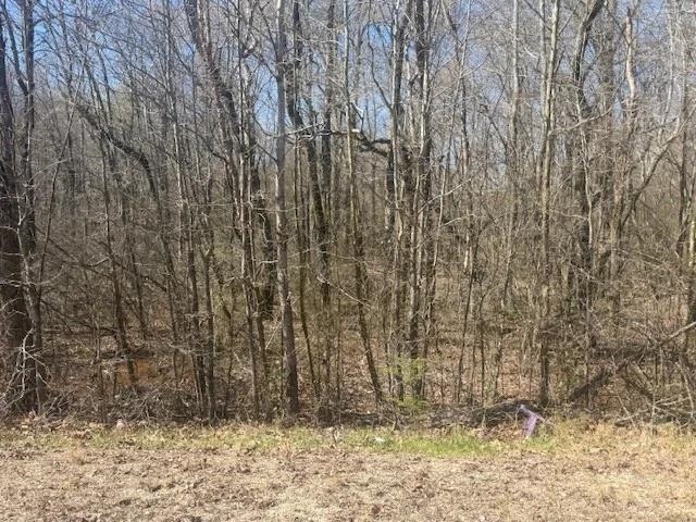 Tract 9 22a Hwy Property Photo 13