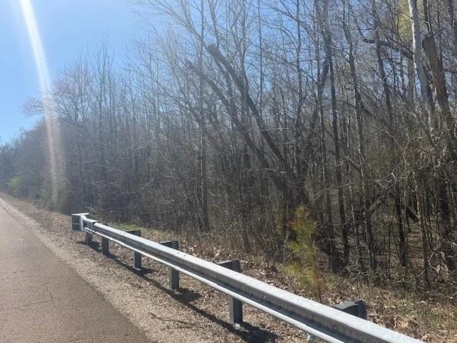 Tract 9 22a Hwy Property Photo 14
