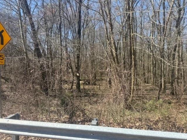 Tract 9 22a Hwy Property Photo 15