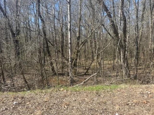 Tract 9 22a Hwy Property Photo 16