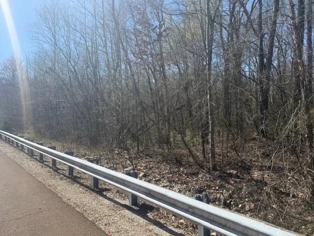 Tract 9 22a Hwy Property Photo 17