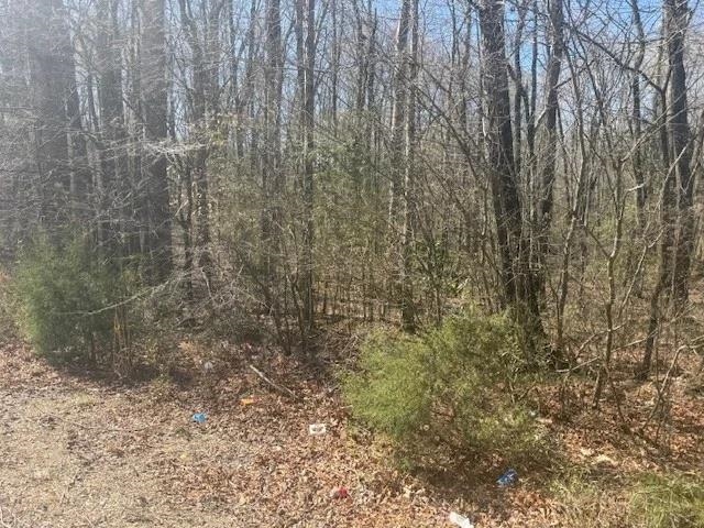 Tract 9 22a Hwy Property Photo 18
