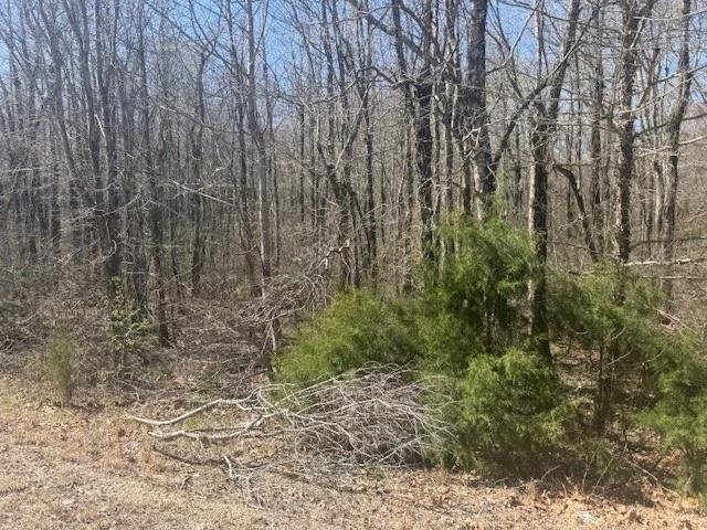 Tract 9 22a Hwy Property Photo 19