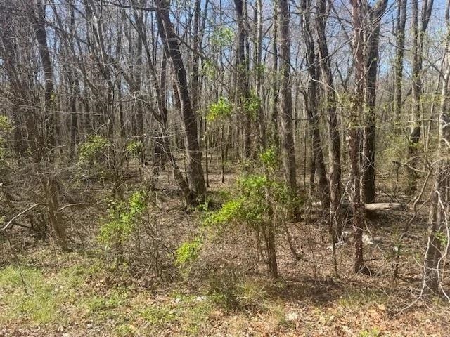 Tract 9 22a Hwy Property Photo 20