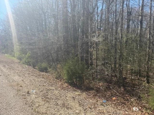 Tract 9 22a Hwy Property Photo 21