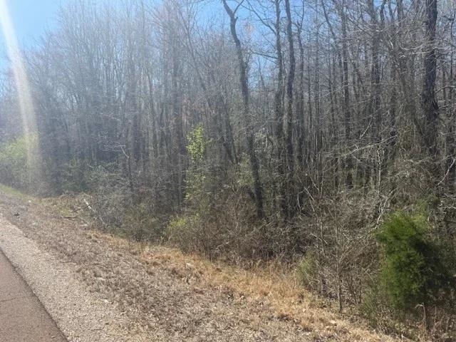 Tract 9 22a Hwy Property Photo 23