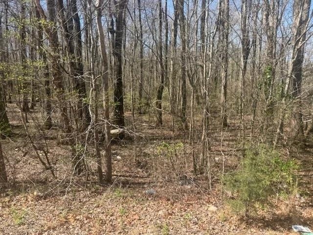 Tract 9 22a Hwy Property Photo 24
