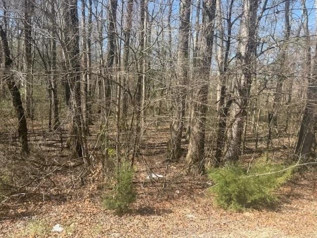 Tract 9 22a Hwy Property Photo 25