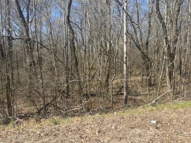 Tract 9 22a Hwy Property Photo 26