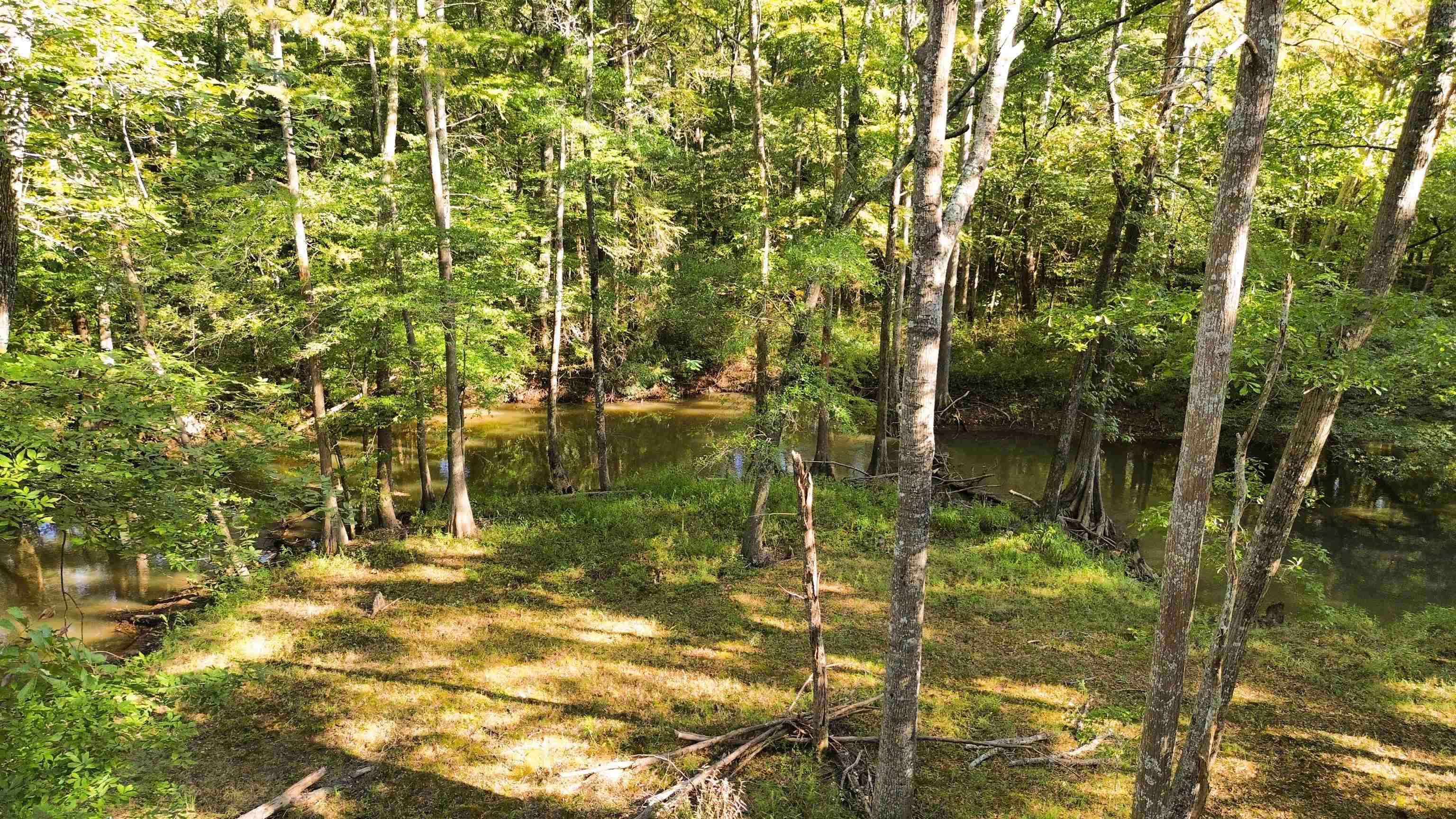 2895 Sain Rd Property Photo 14