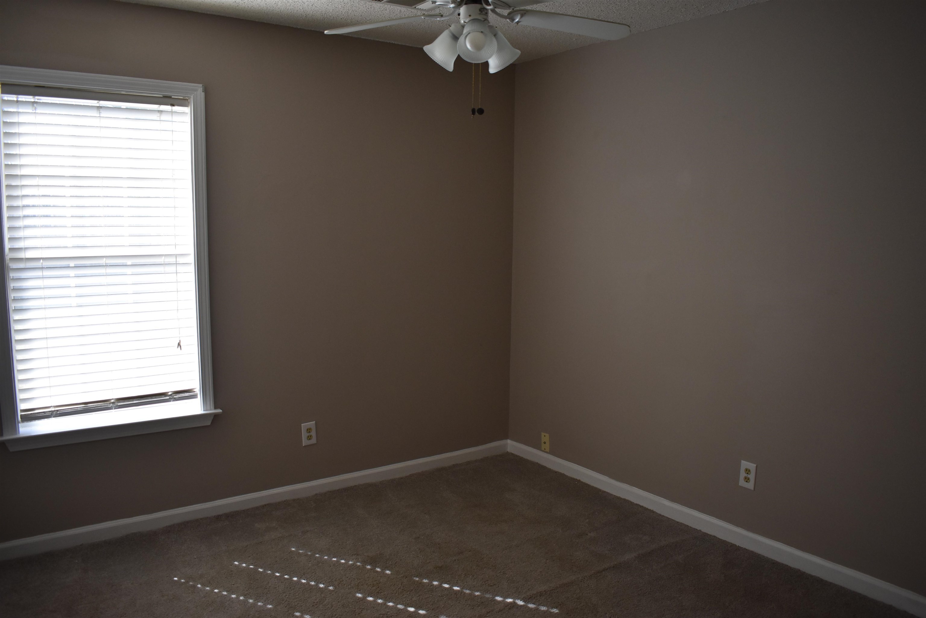 153 Fleming Ave Property Photo 18