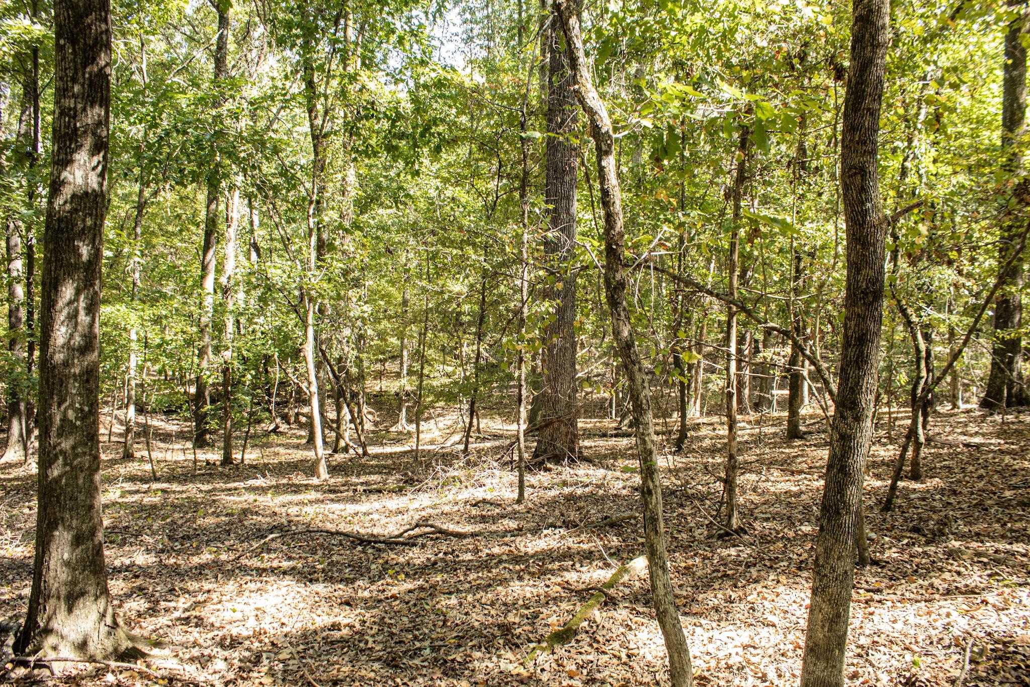 0 Donellson Rd Property Photo 8