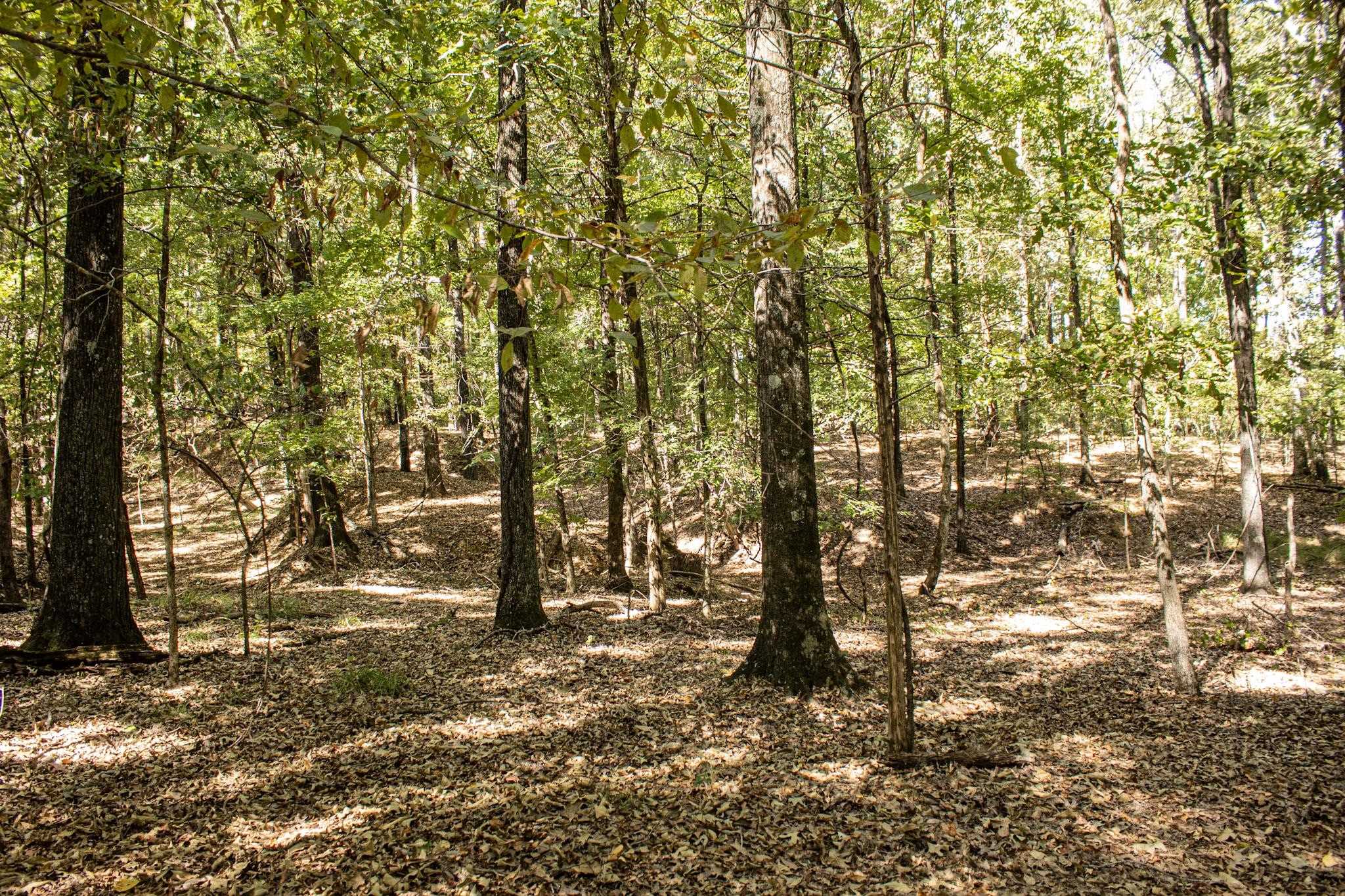 0 Donellson Rd Property Photo 13