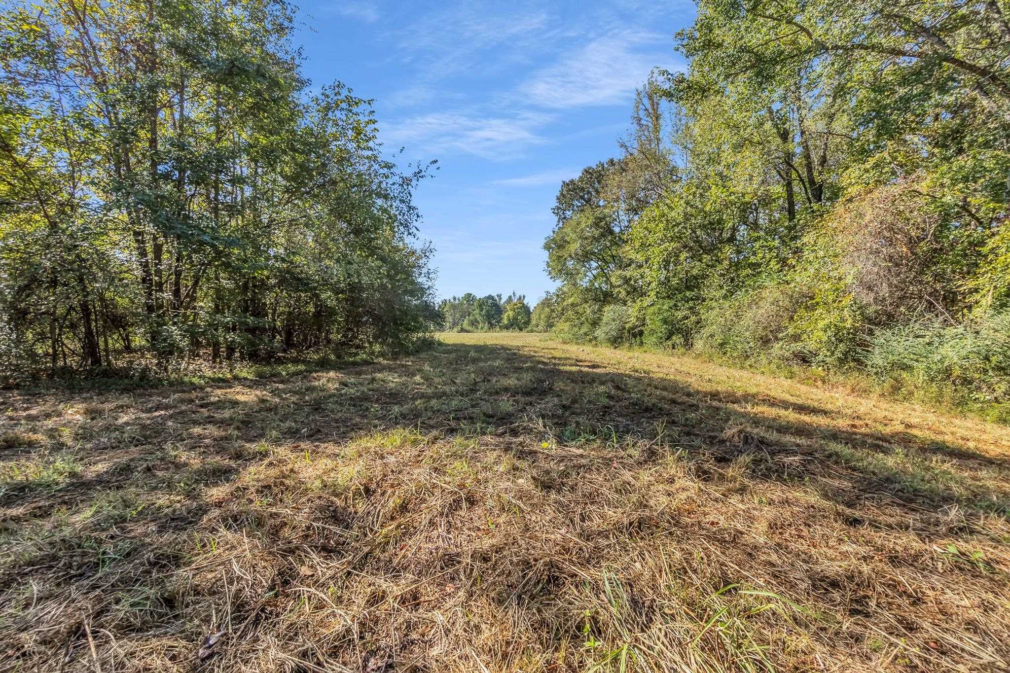 Lagrange Rd Property Photo 10
