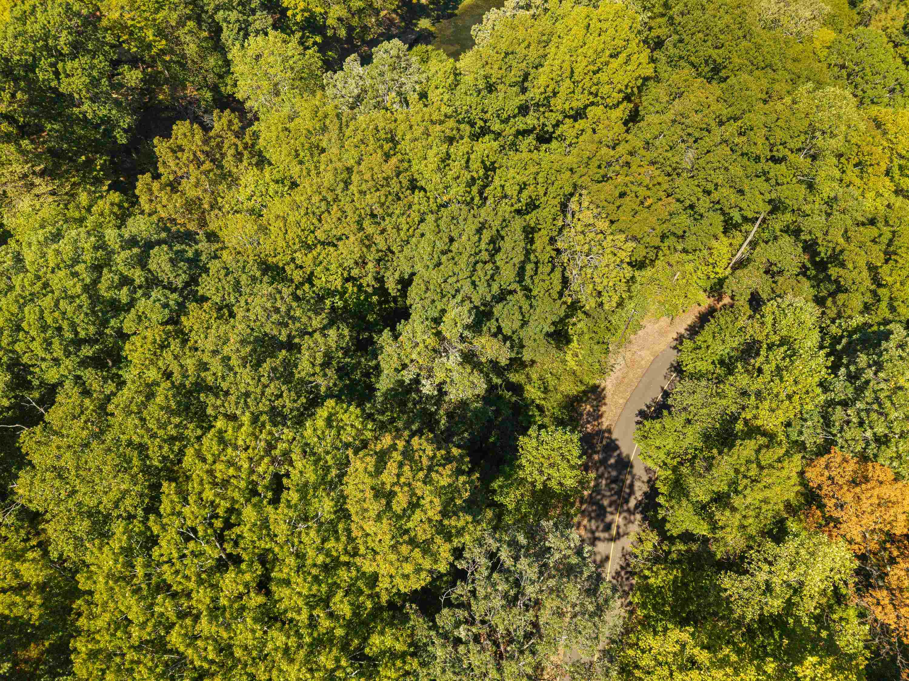 2029 Mattaha Dr Property Photo 4