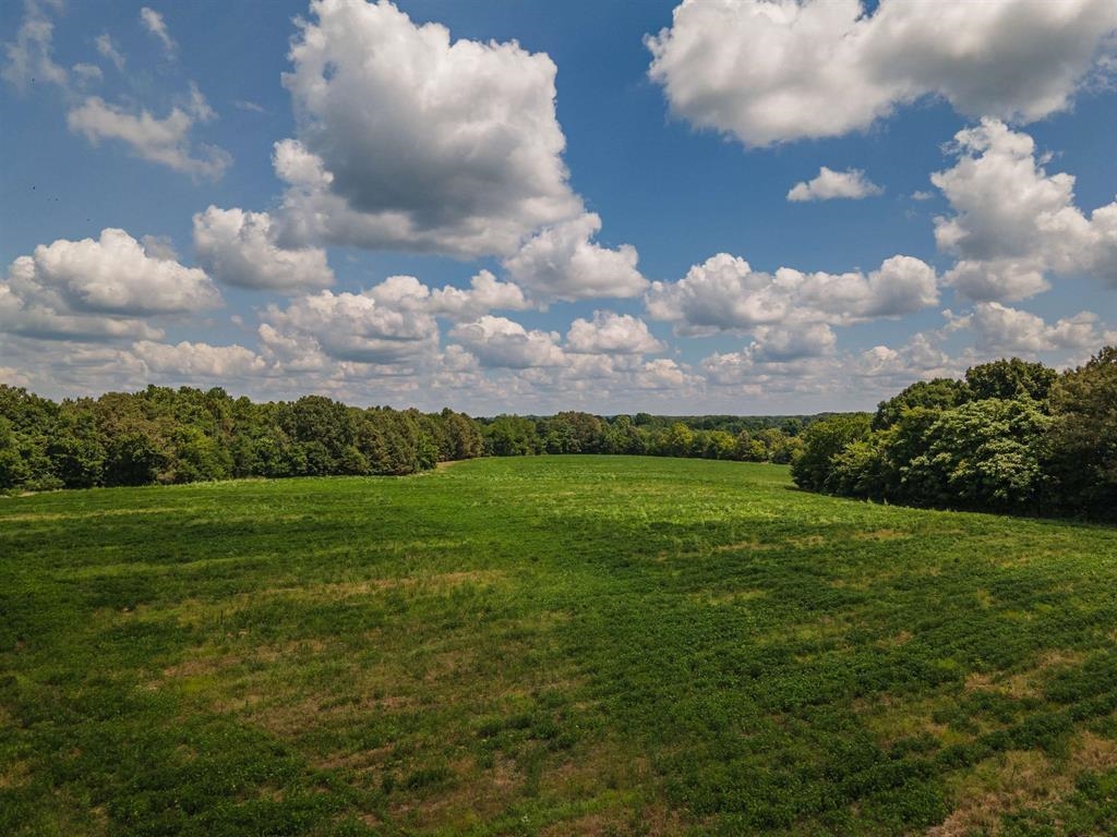 Old Jackson Rd Property Photo 5