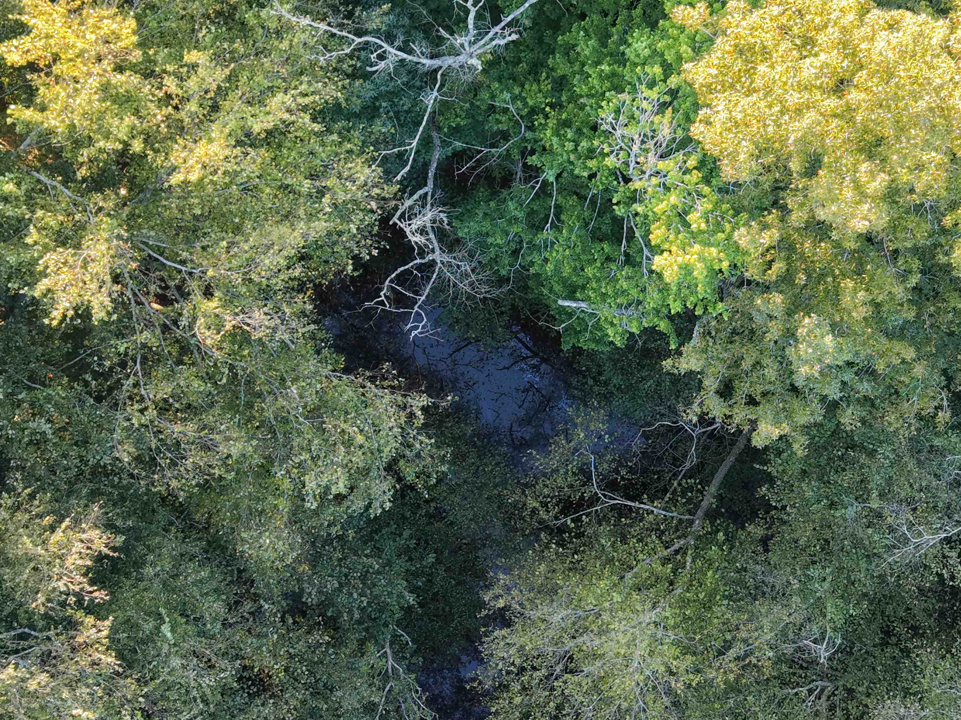 0 Country Club Rd Property Photo 3