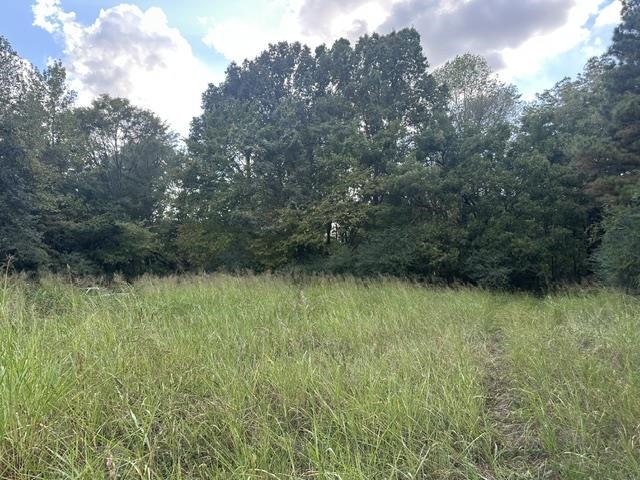 8991 Osborntown Rd Property Photo 4