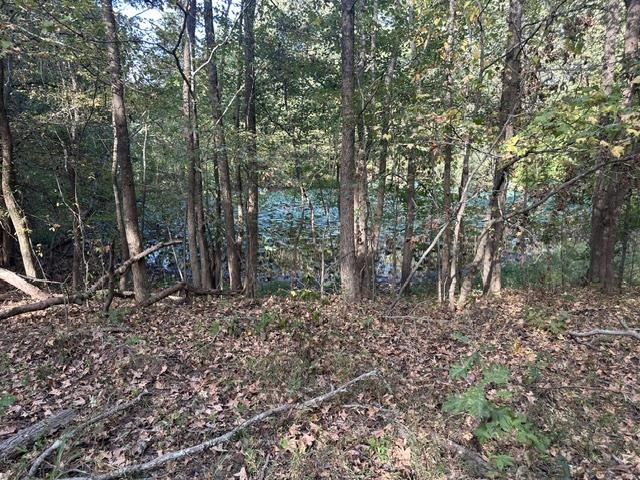 8991 Osborntown Rd Property Photo 5
