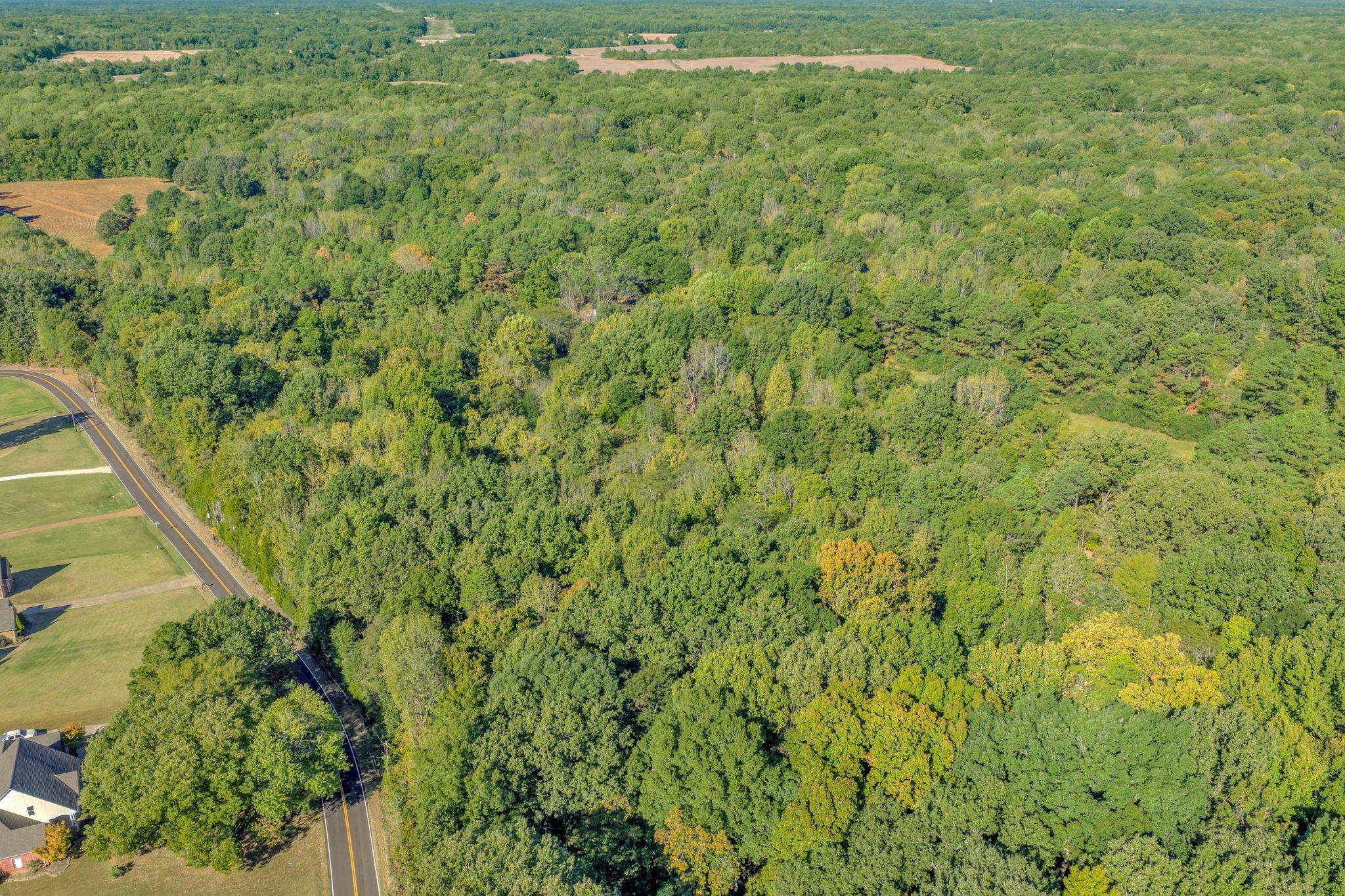 8991 Osborntown Rd Property Photo 18