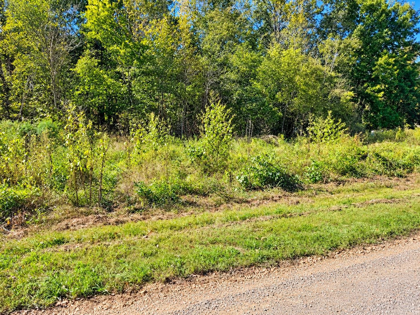 15 Towboat Ln Property Photo 1