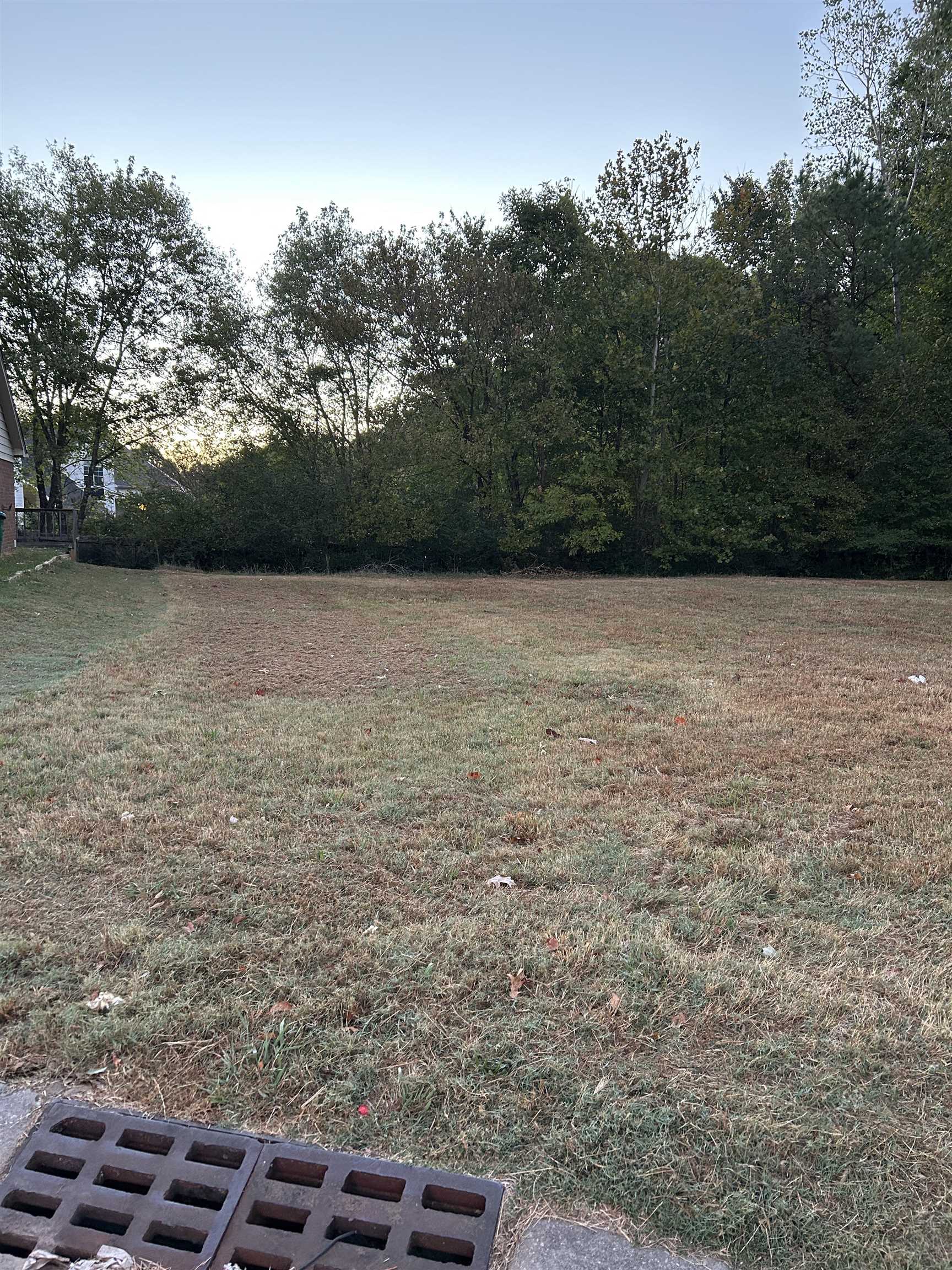9867 Maggie Woods Ln Property Photo 1