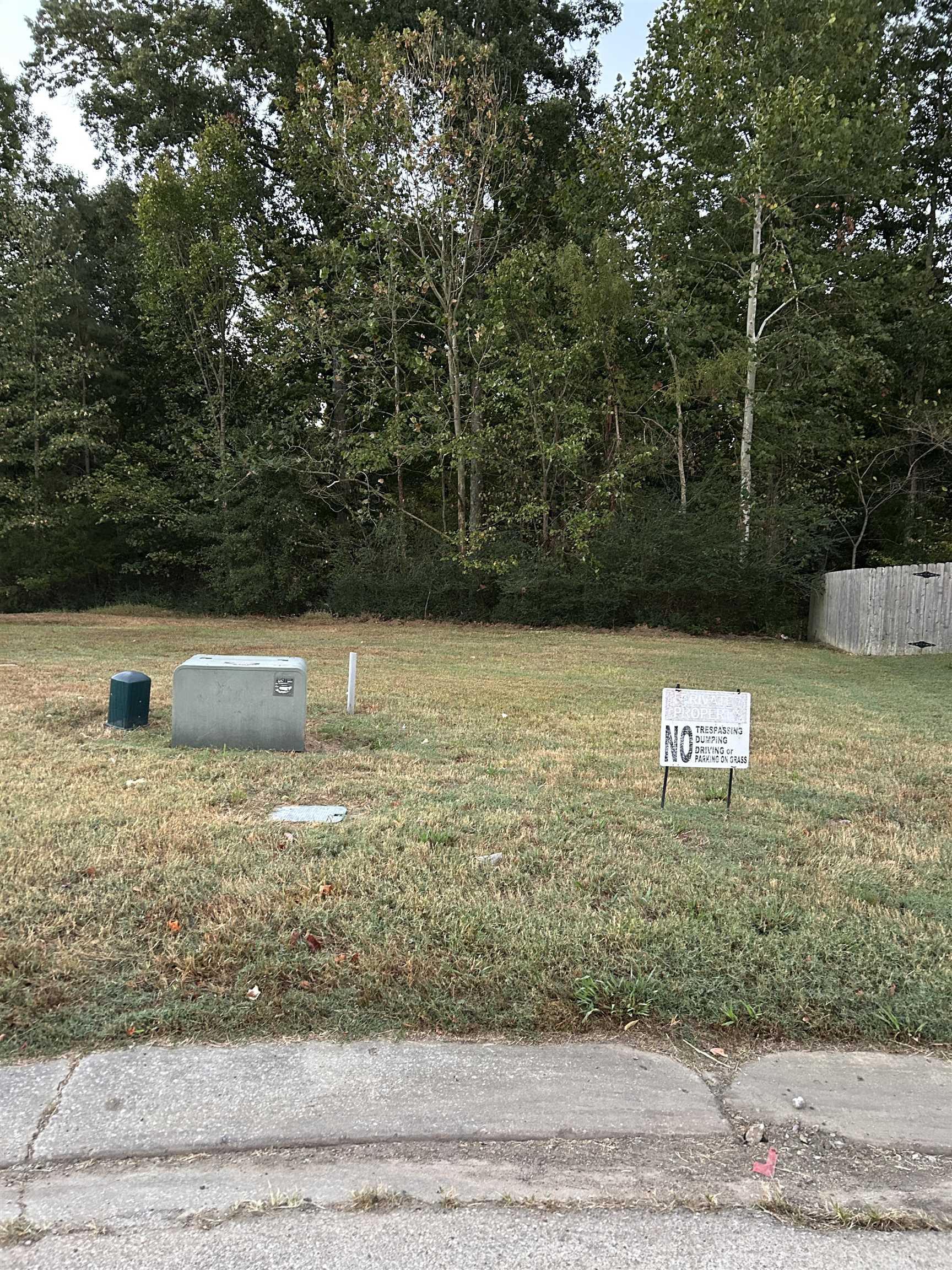9863 Maggie Woods Ln Property Photo 1