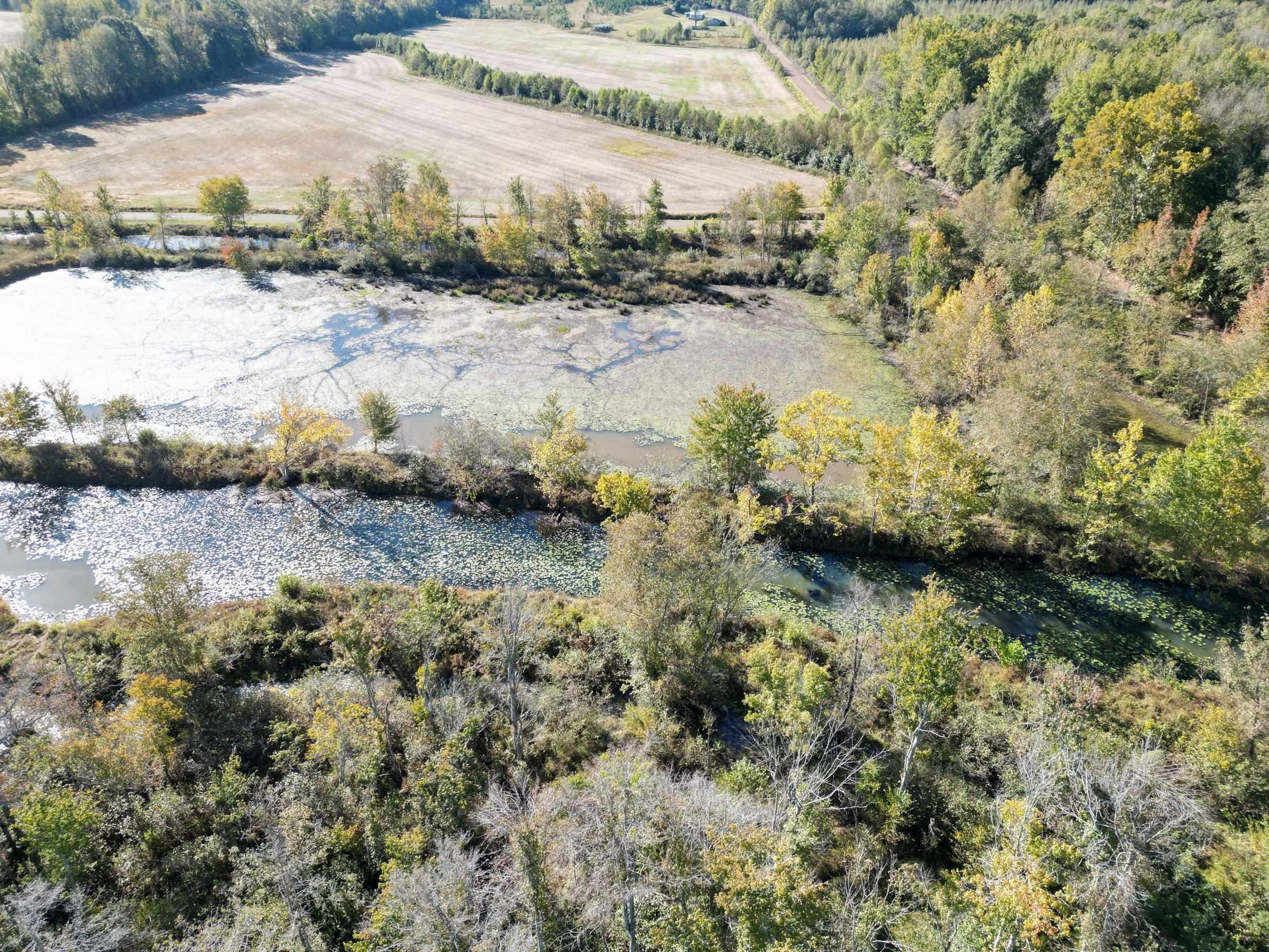 Tract 1 Overton Loop Property Photo 1