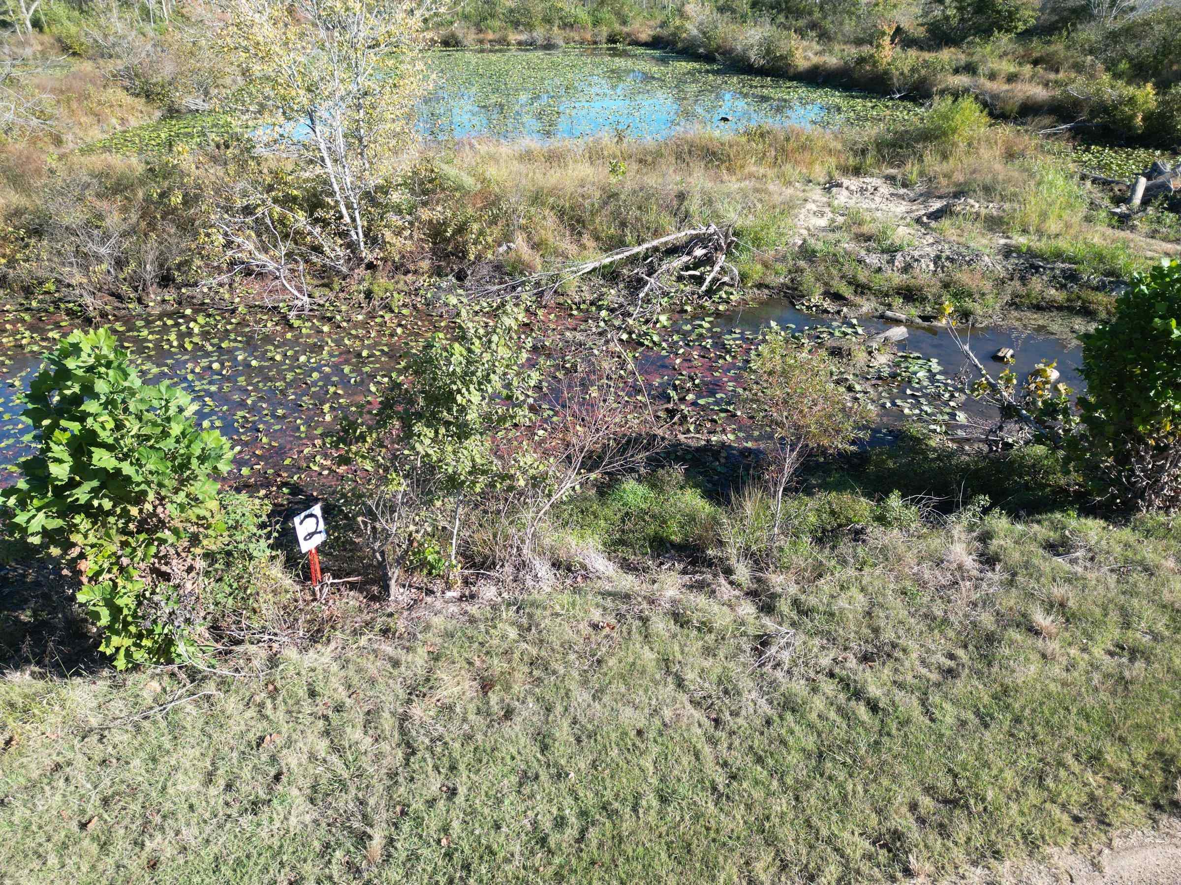 Tract 2 Overton Loop Property Photo 1