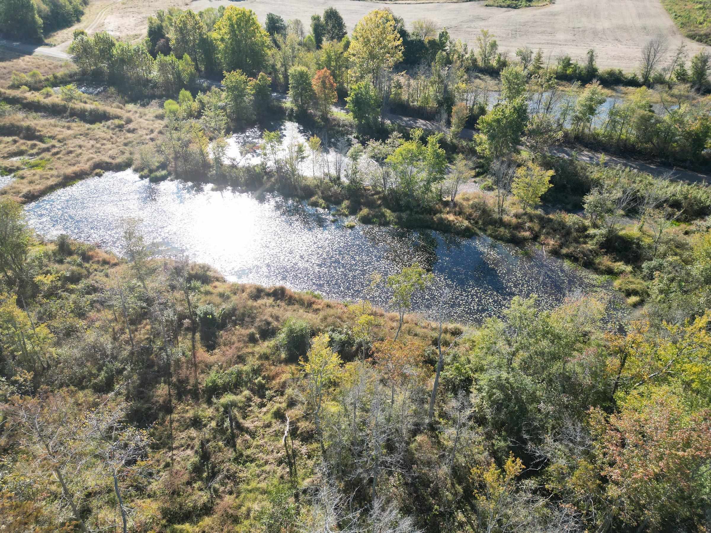 Tract 3 Overton Loop Property Photo 1