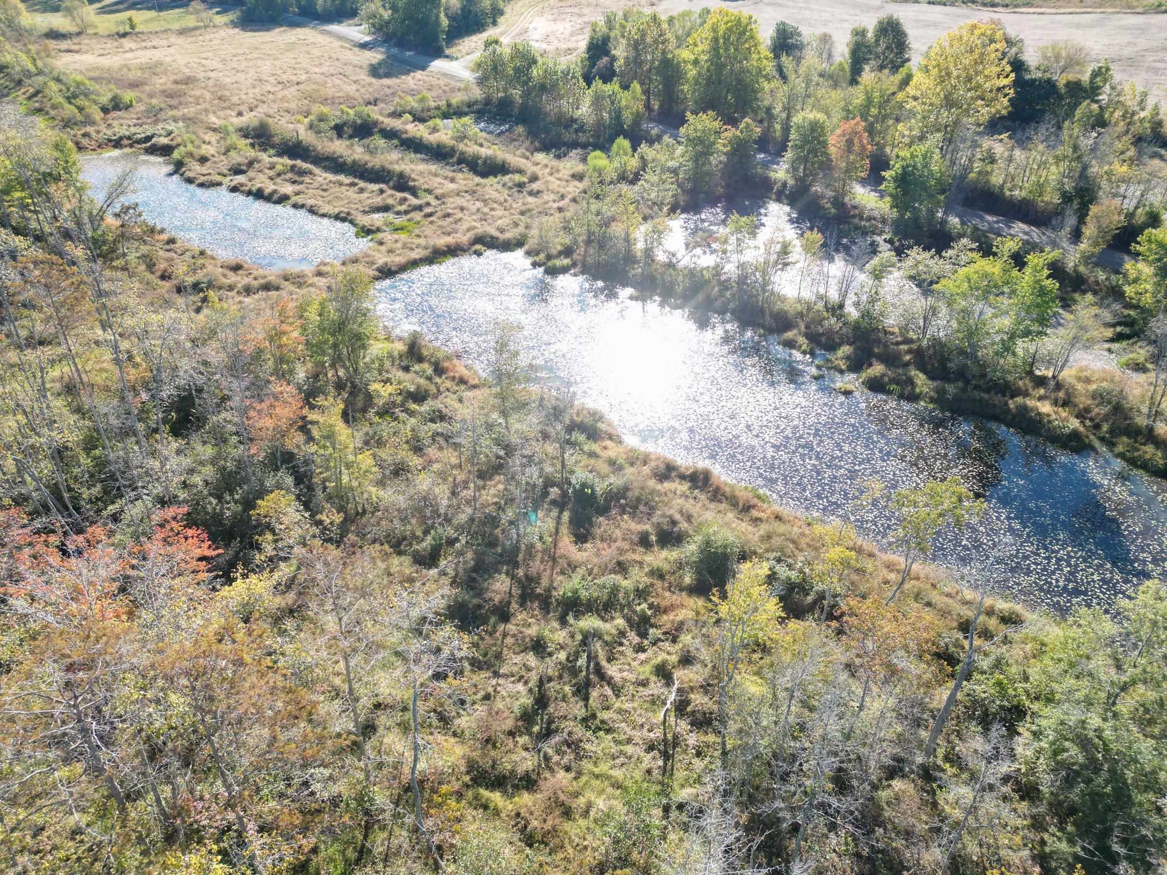 Tract 3 Overton Loop Property Photo 2