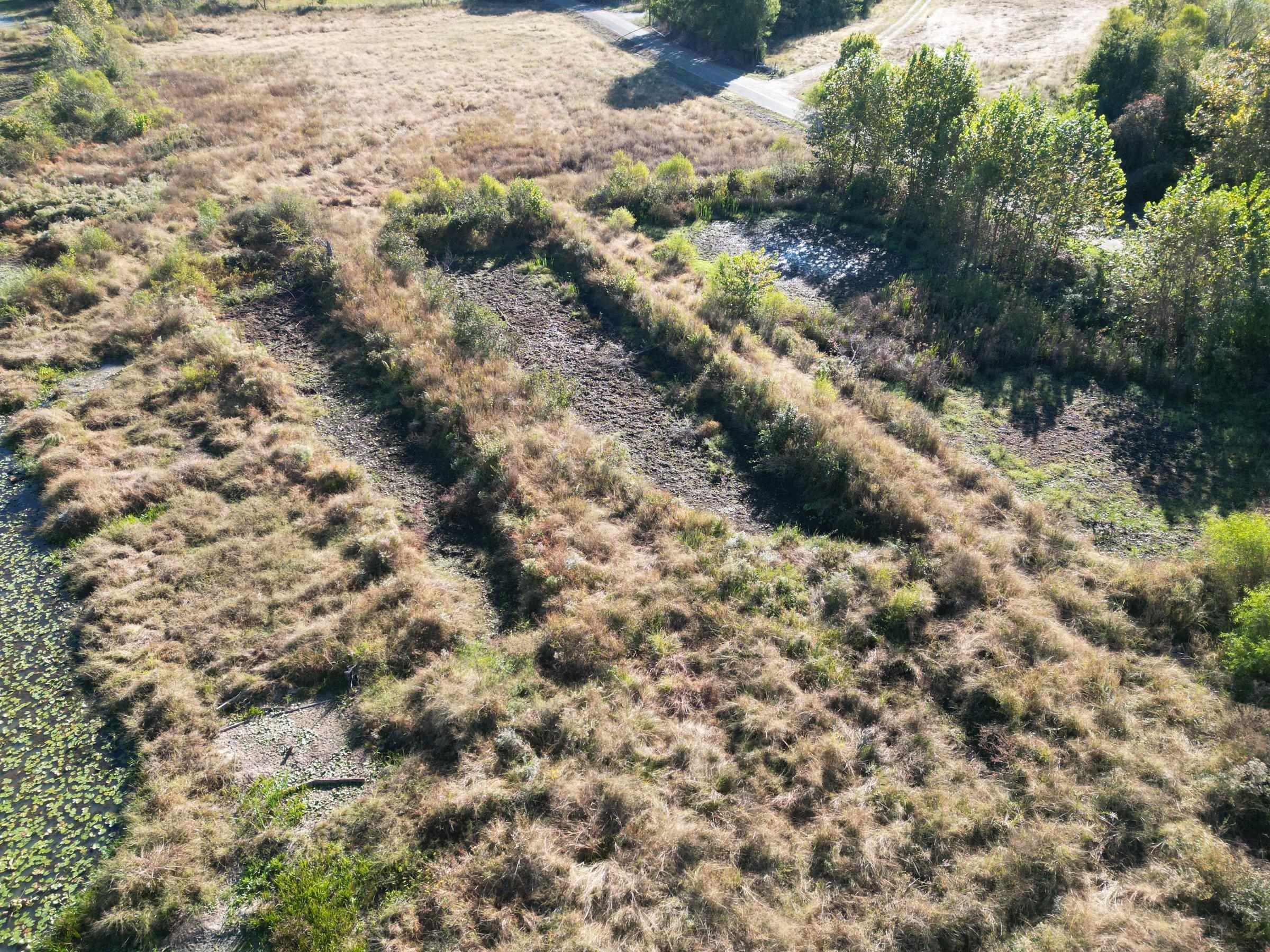 Tract 3 Overton Loop Property Photo 5