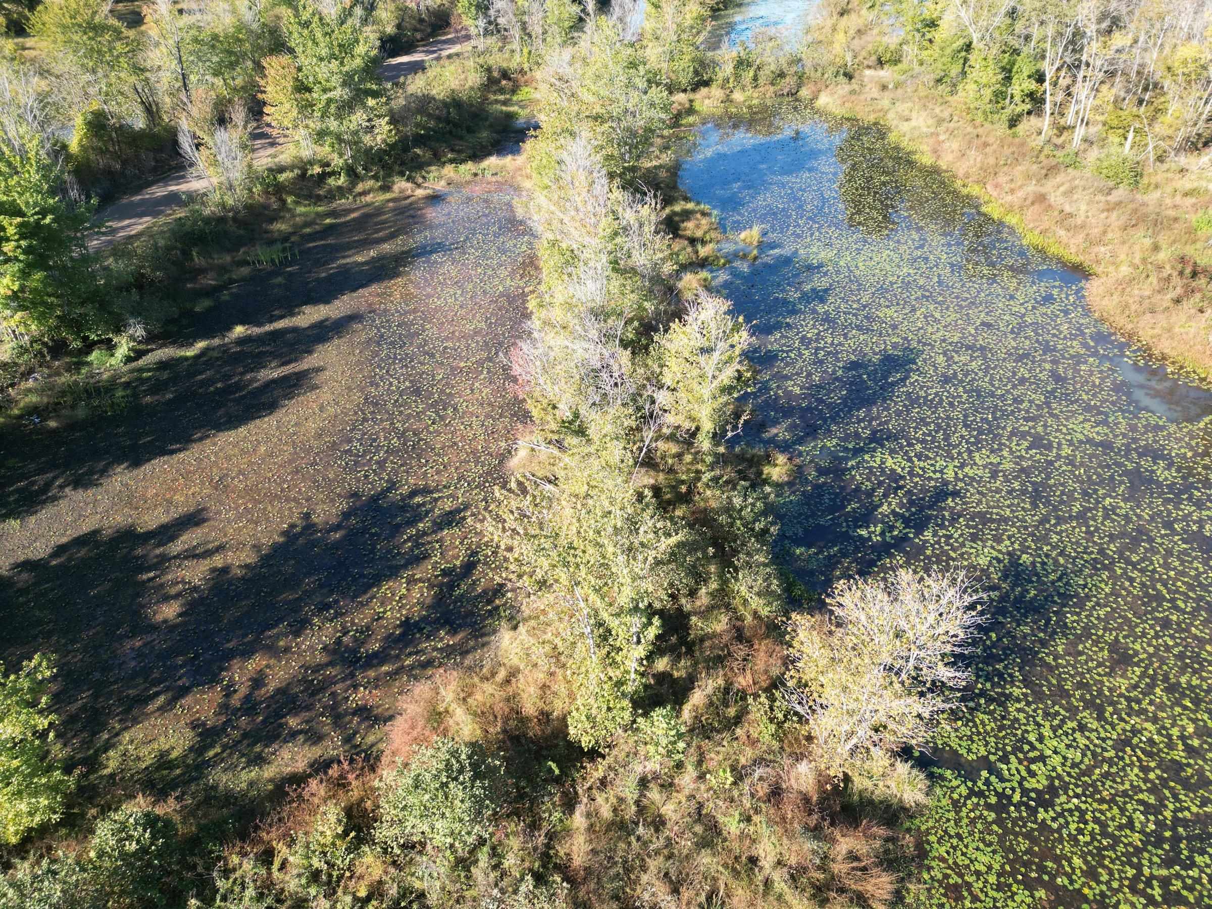 Tract 3 Overton Loop Property Photo 7