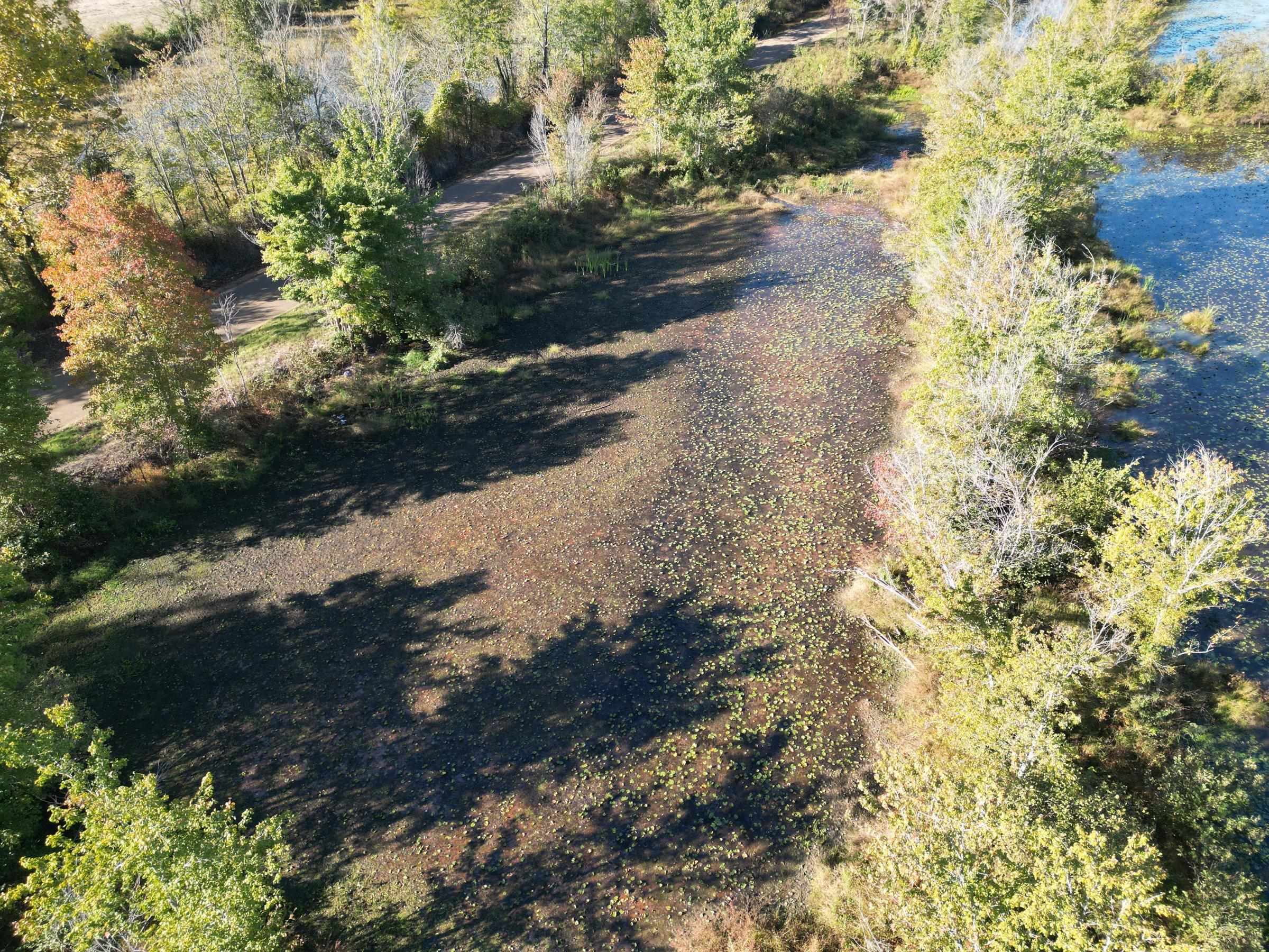 Tract 3 Overton Loop Property Photo 8